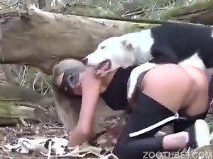 Brazilian dog porn