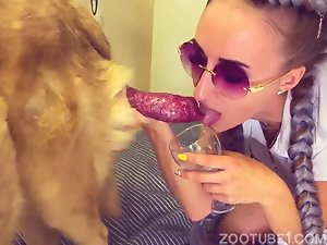 cachorro goza comendo mulher