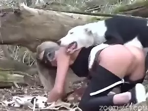 Dog eating pussy
