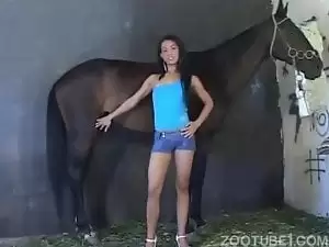 Horny female horse