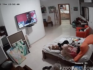 Webcam dog sex