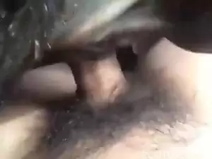 Zoo hamster porn