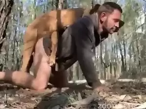 cachorro travado com homem